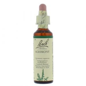 Bach bloesem No 1 Agrimony