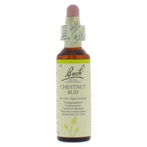 Bach bloesem No 7 Chestnut Bud