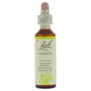 Bach bloesem No 9 Clematis