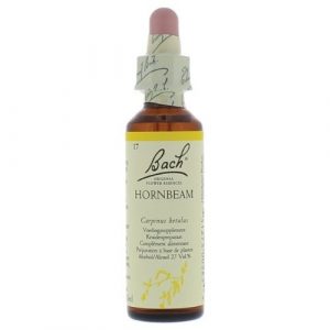 Bach bloesem No 17 Hornbeam